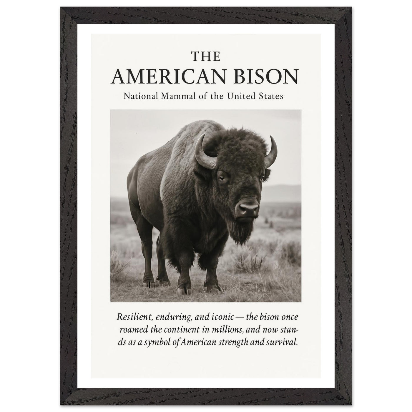 The American Bison – Canvas Art Print | Canvas of America