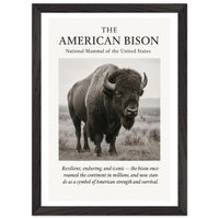 The American Bison – Canvas Art Print | Canvas of America