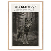 The Red Wolf – Canvas Art Print | Canvas of America