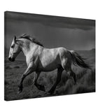 American Mustang – Canvas Art Print | Canvas of America