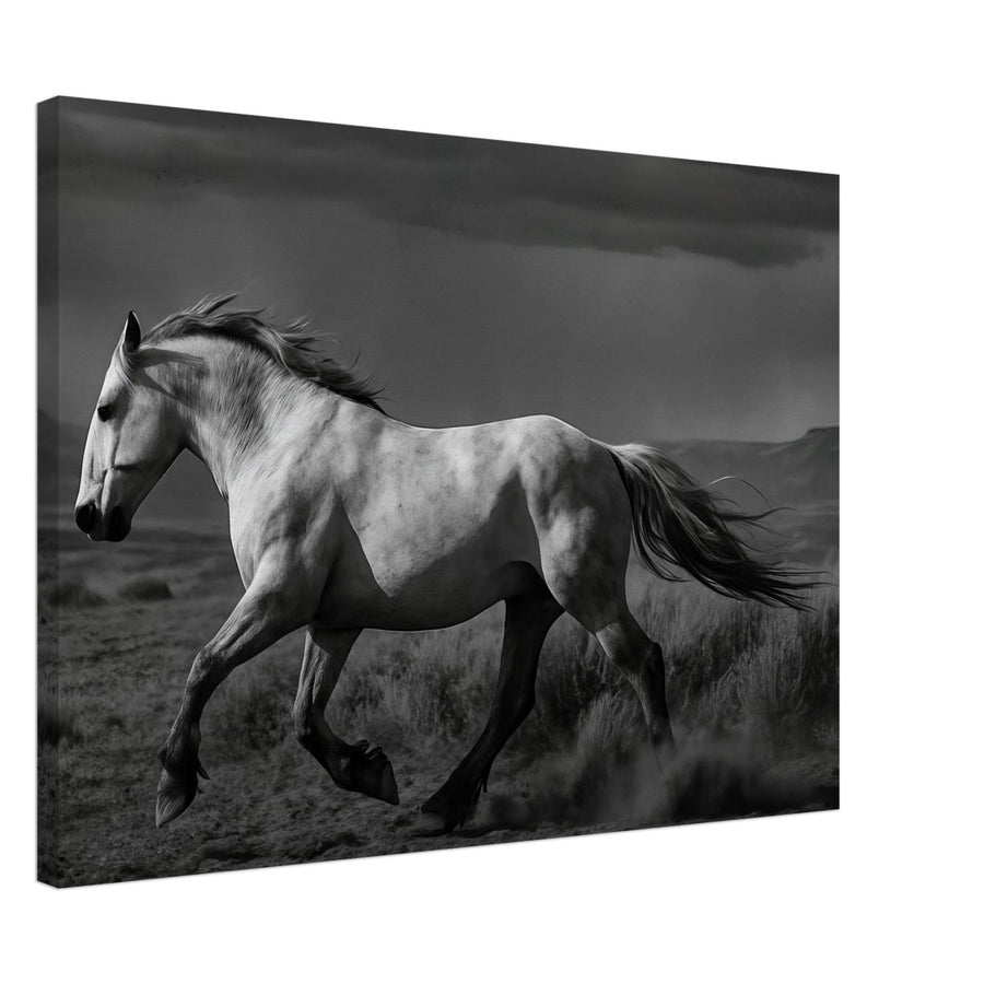 American Mustang – Canvas Art Print | Canvas of America