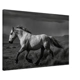 American Mustang – Canvas Art Print | Canvas of America