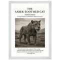 The Saber-toothed Cat