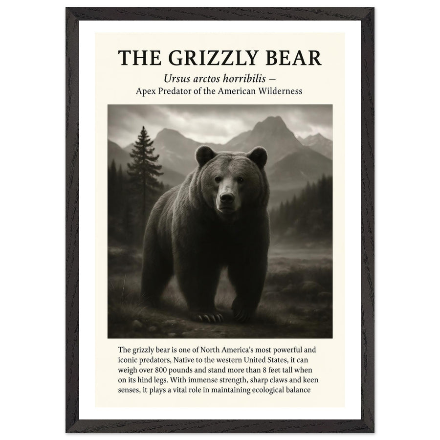 The Grizzly Bear – Canvas Art Print | Canvas of America