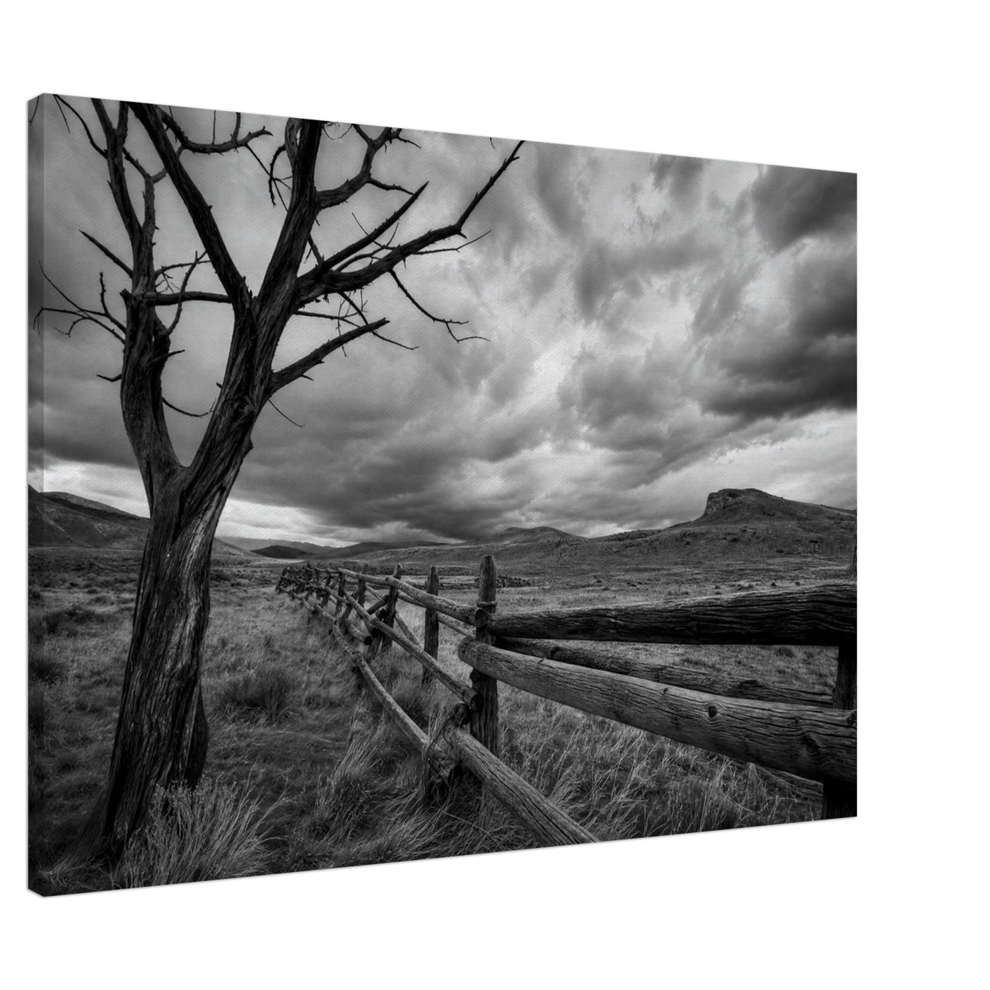 Canvas print of a lone tree and rustic fence — room view, ready to hang.
