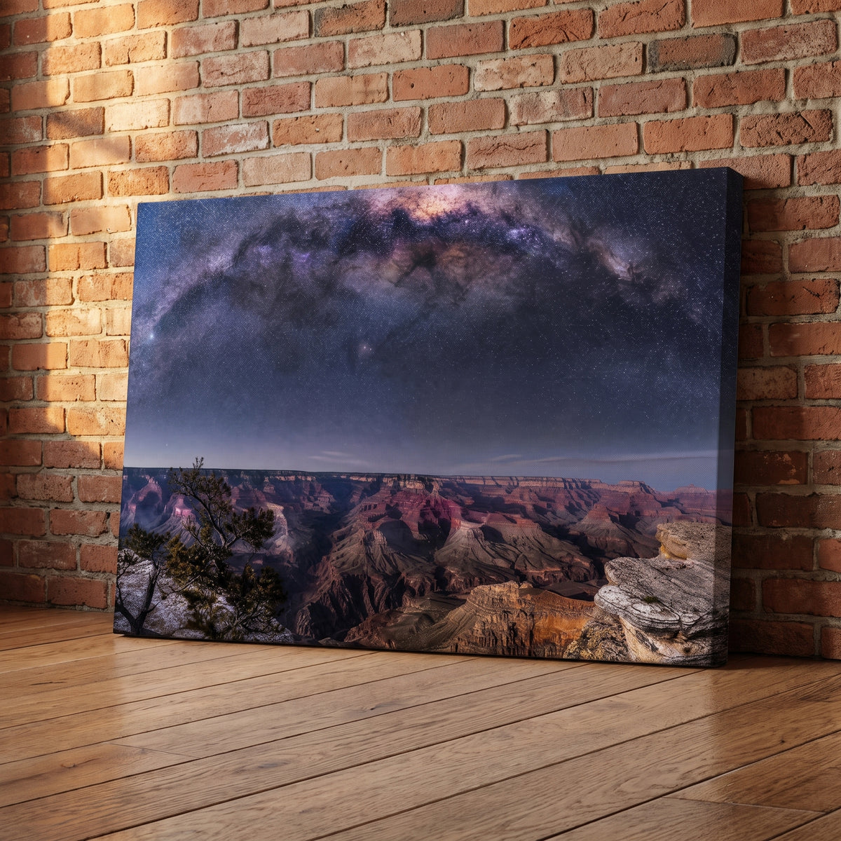 Canyon Cosmos canvas print leaning against a wall