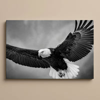 Eagle Ascending gallery-wrapped canvas print on a plain wall
