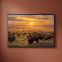 Golden Sunset Bison Herd framed print on a plain wall