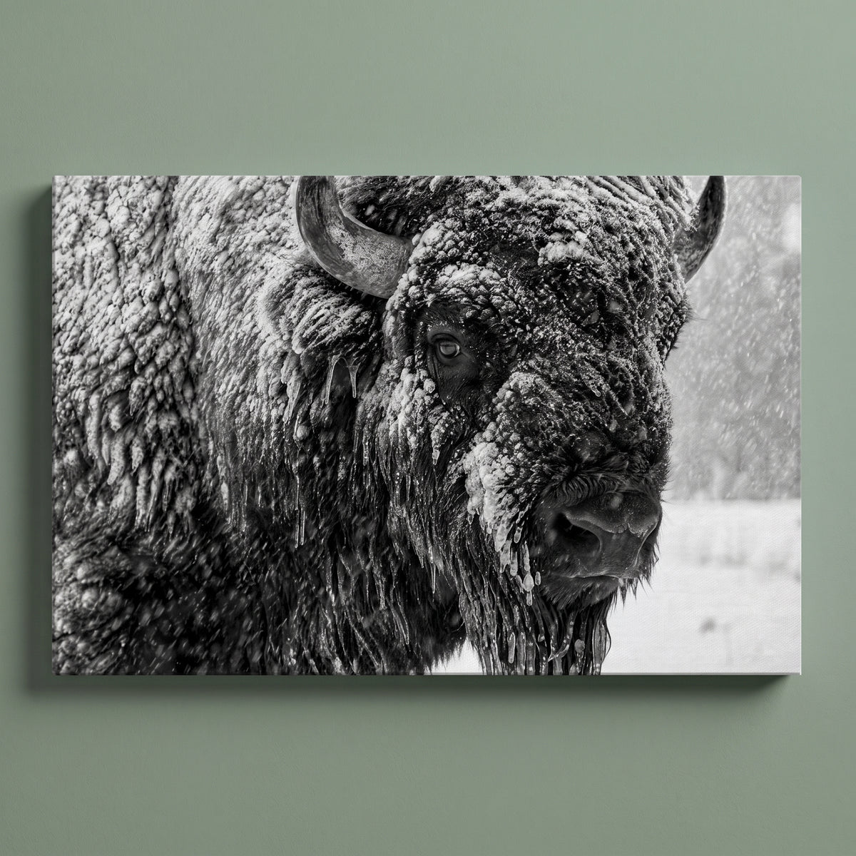 Winter Bison gallery-wrapped canvas print on a plain wall