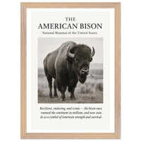 The American Bison – Canvas Art Print | Canvas of America