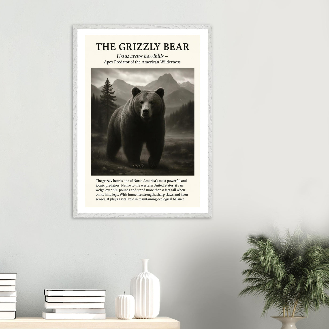 The Grizzly Bear – Canvas Art Print | Canvas of America