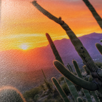 Desert Gold print, close-up of the premium semi-glossy fine-art paper surface.