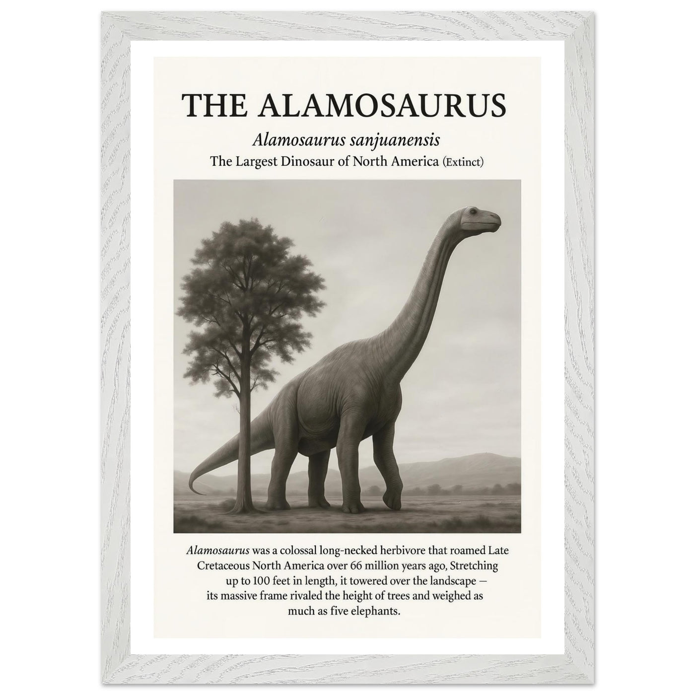 The Alamosaurus – Canvas Art Print | Canvas of America