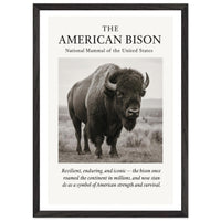 The American Bison – Canvas Art Print | Canvas of America