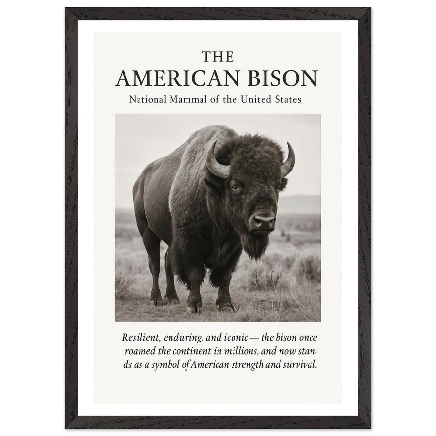 The American Bison – Canvas Art Print | Canvas of America