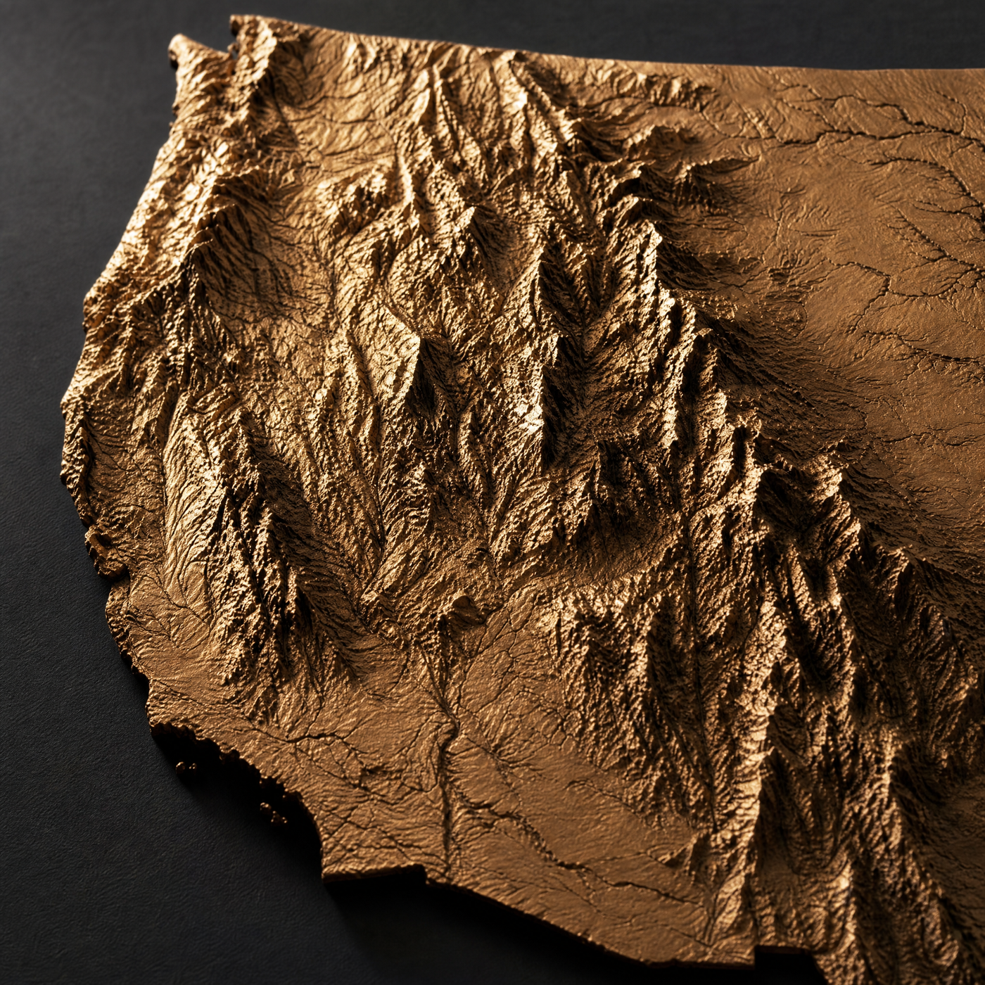 Close-up detail of the sculptural bronze topographic relief — mountains and valleys — on matte museum fine-art paper.