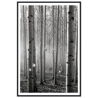 d5155490-e340-4843-94be-8bc560c2f663