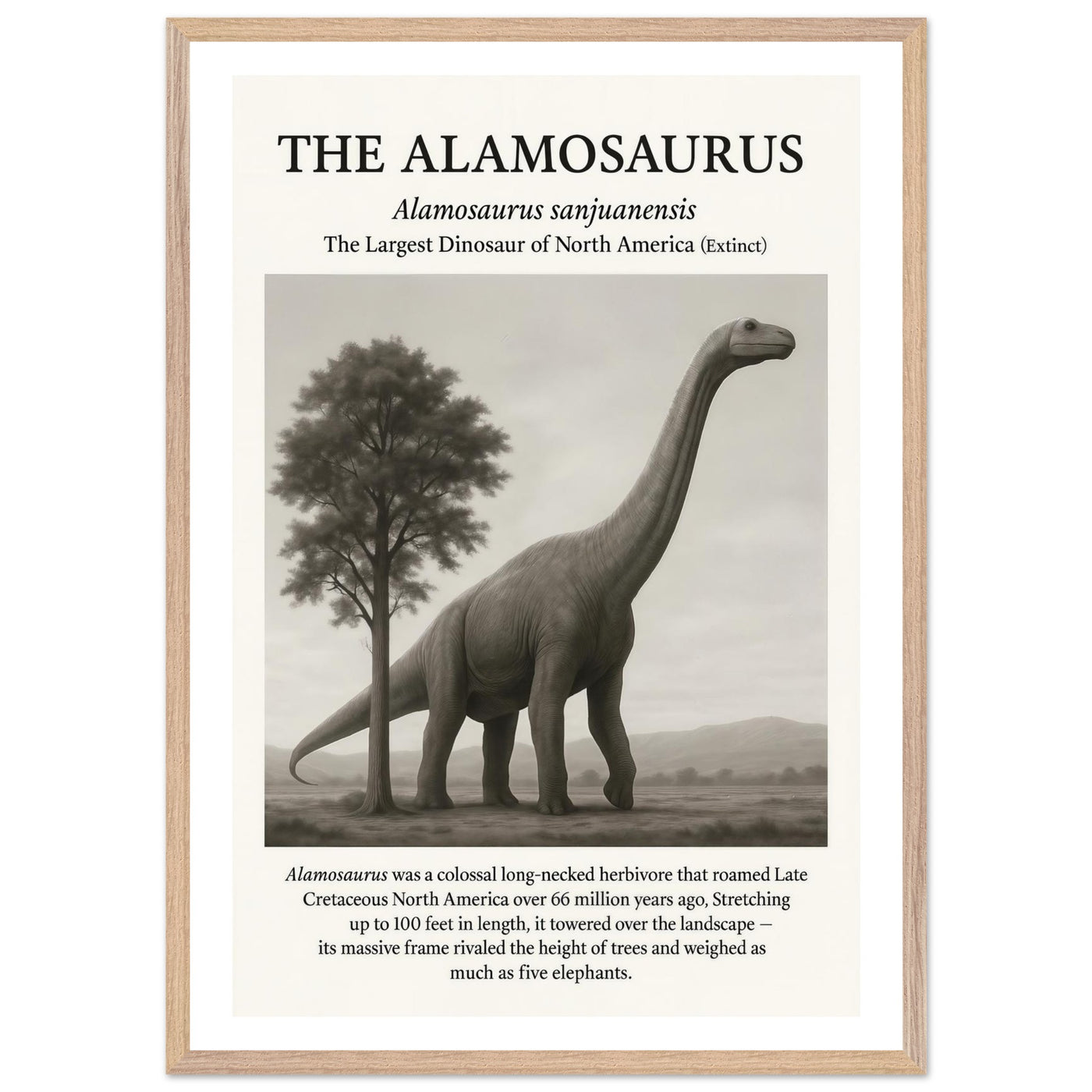 The Alamosaurus – Canvas Art Print | Canvas of America