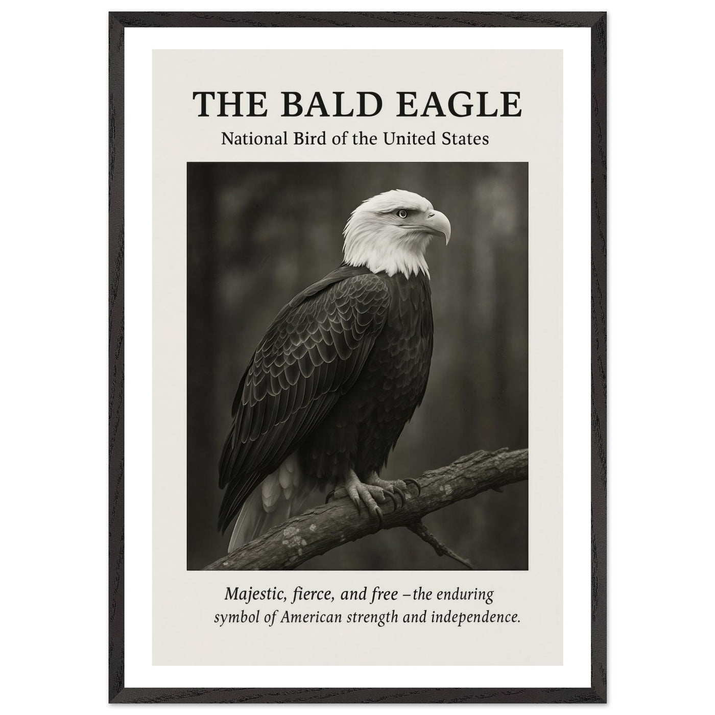 The Bald Eagle – Canvas Art Print | Canvas of America
