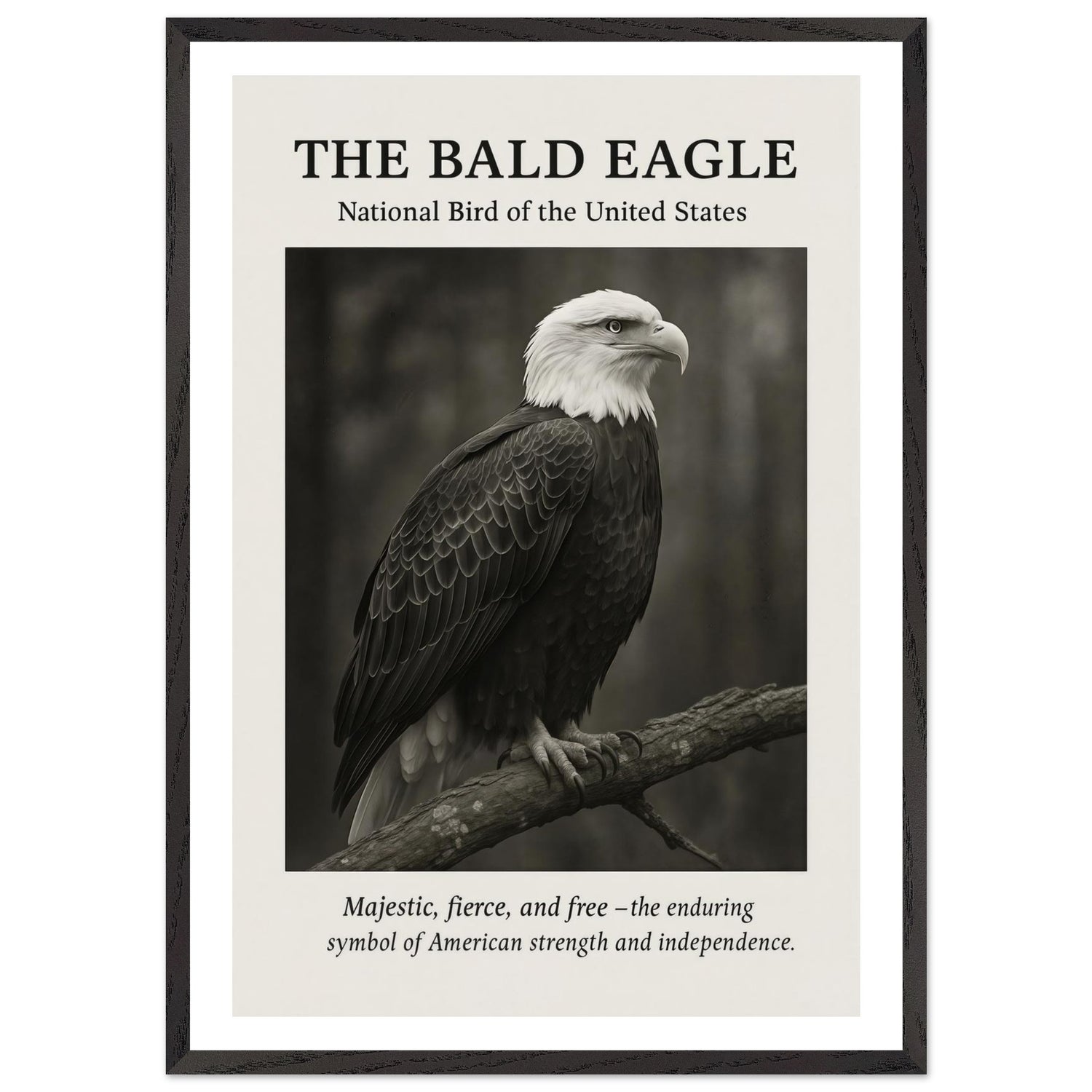 The Bald Eagle – Canvas Art Print | Canvas of America