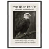 The Bald Eagle – Canvas Art Print | Canvas of America