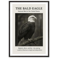The Bald Eagle – Canvas Art Print | Canvas of America