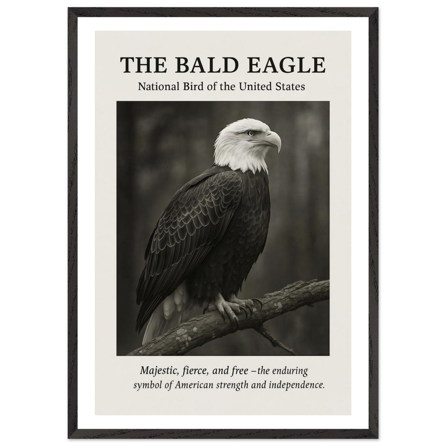 The Bald Eagle – Canvas Art Print | Canvas of America