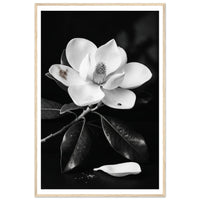 7cbcf8ef-8fc4-40ba-a31c-86b171ad22cd