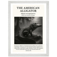 The American Alligator – Canvas Art Print | Canvas of America