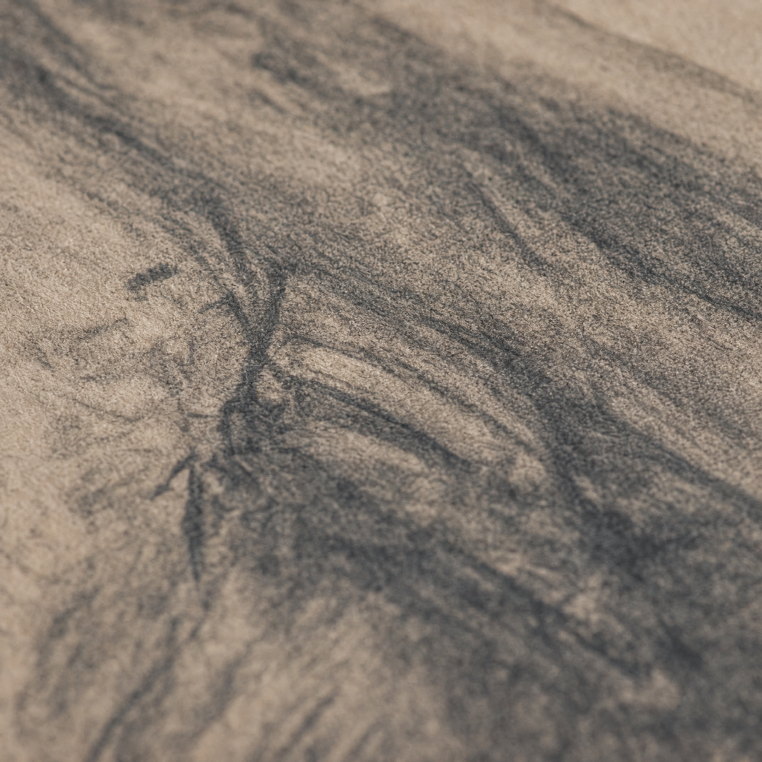 The Drifter print, close-up of the charcoal texture on matte museum fine-art paper.