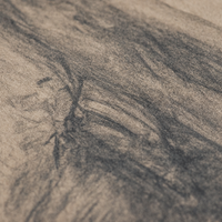 The Drifter print, close-up of the charcoal texture on matte museum fine-art paper.