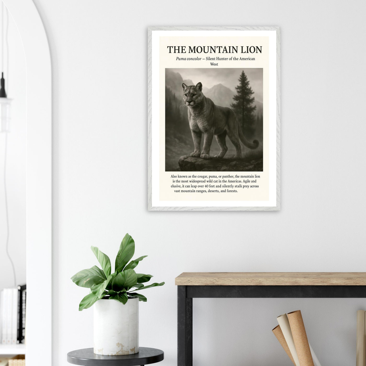 The Mountain Lion – Canvas Art Print | Canvas of America