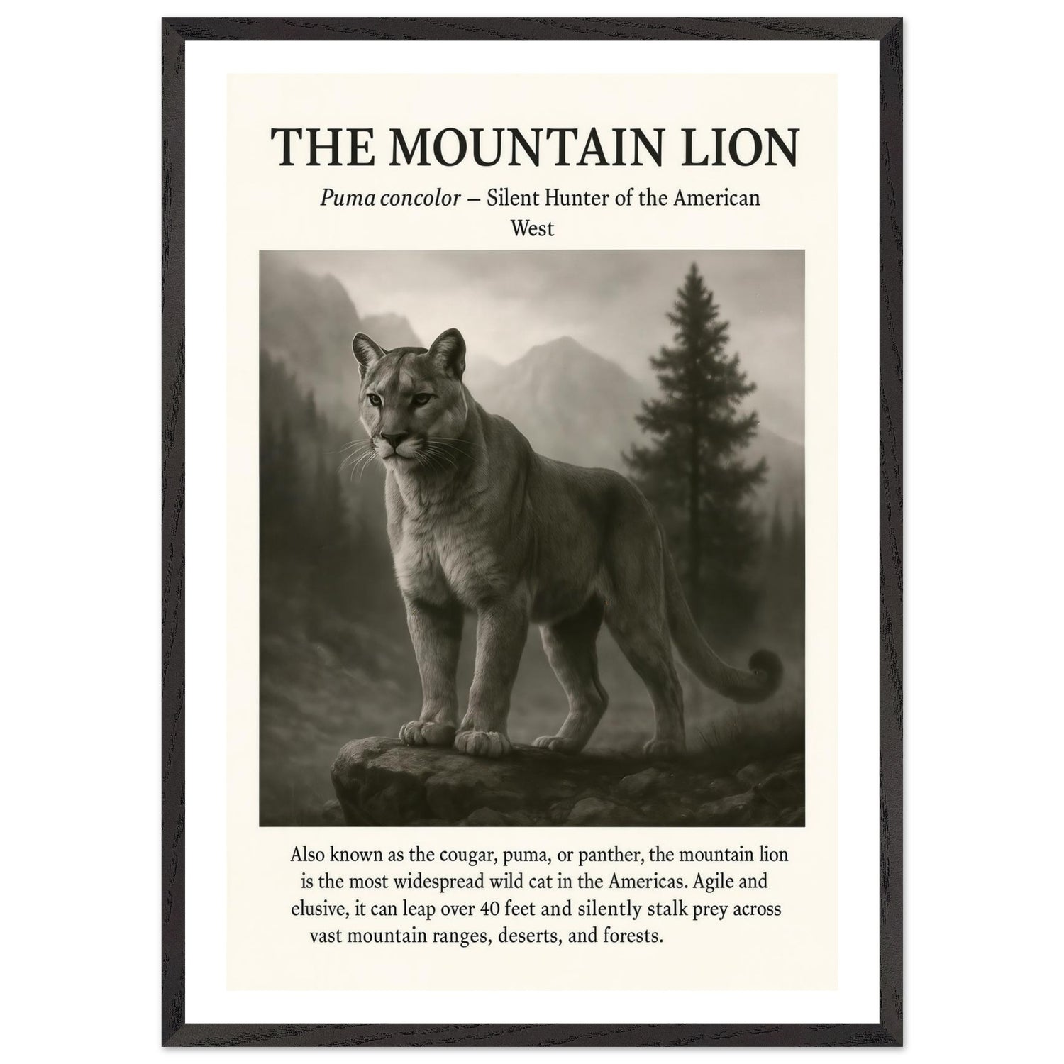 The Mountain Lion – Canvas Art Print | Canvas of America