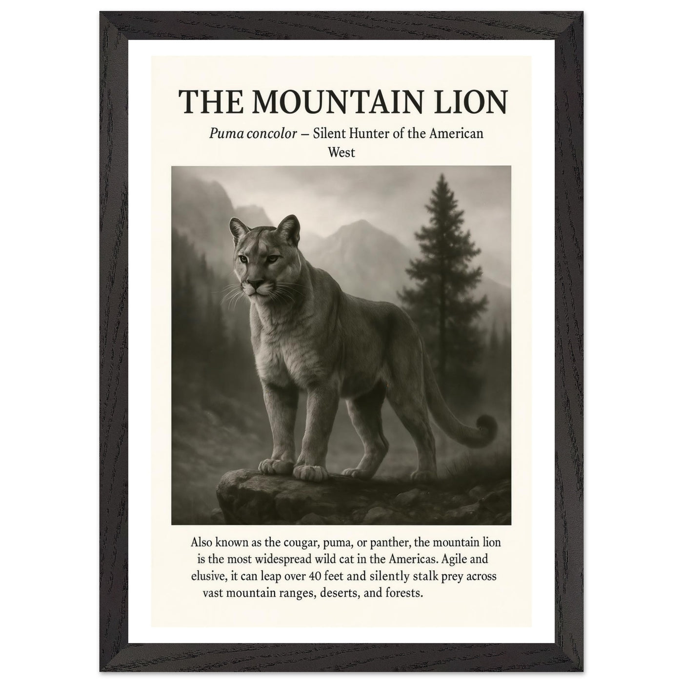 The Mountain Lion – Canvas Art Print | Canvas of America