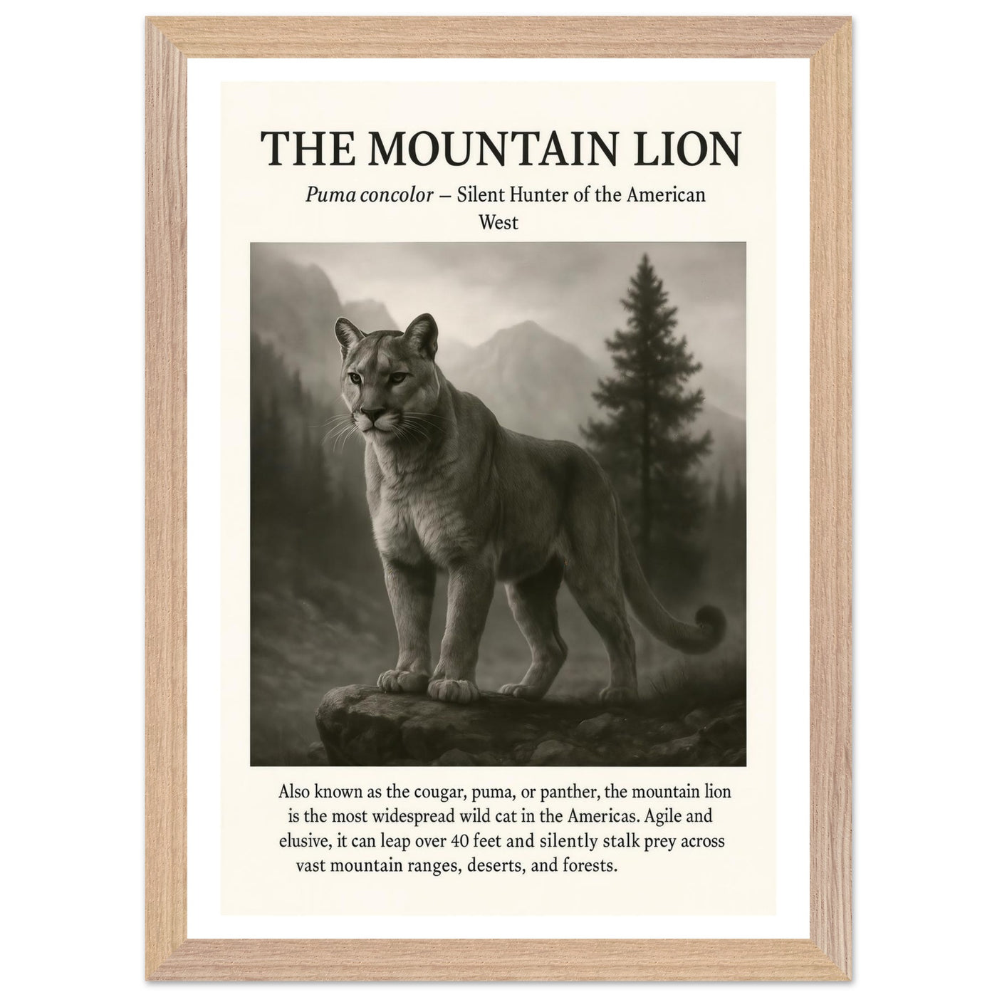 The Mountain Lion – Canvas Art Print | Canvas of America