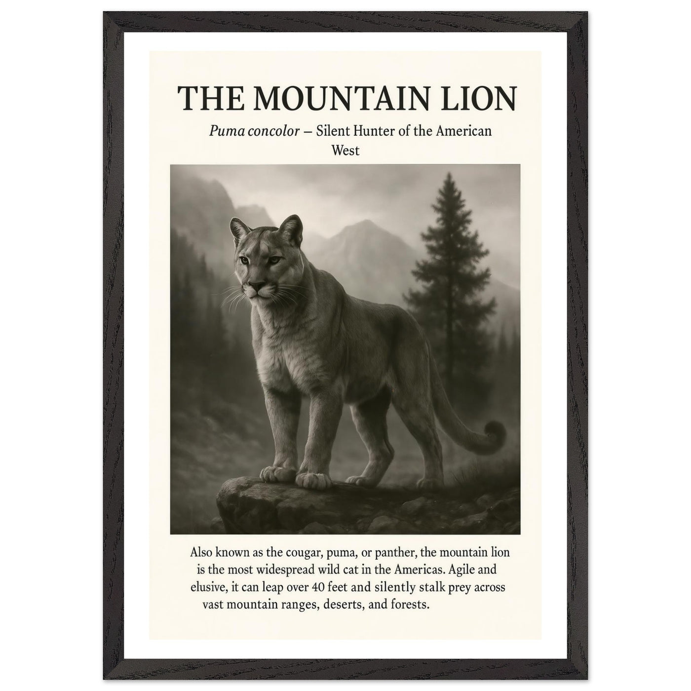 The Mountain Lion – Canvas Art Print | Canvas of America