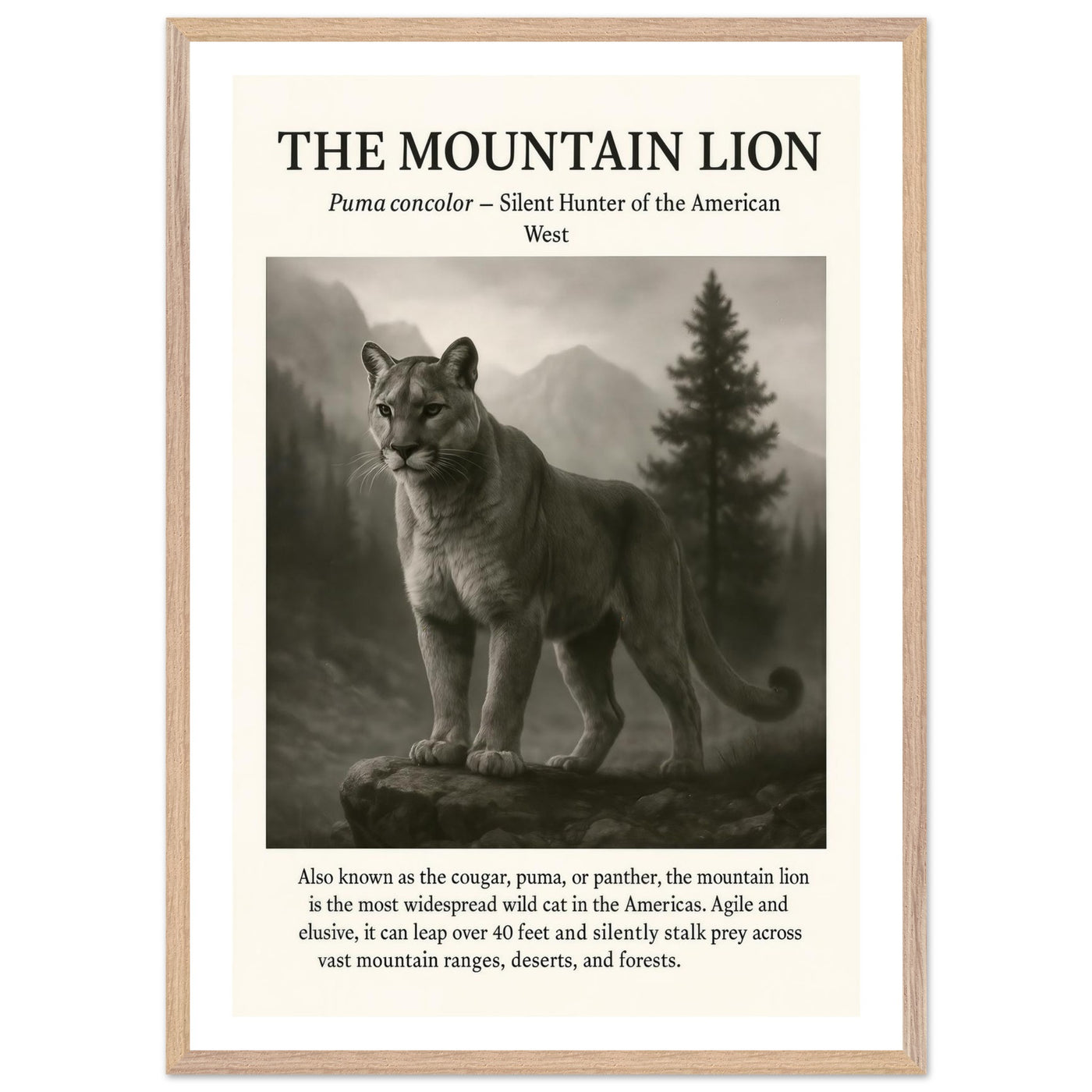 The Mountain Lion – Canvas Art Print | Canvas of America