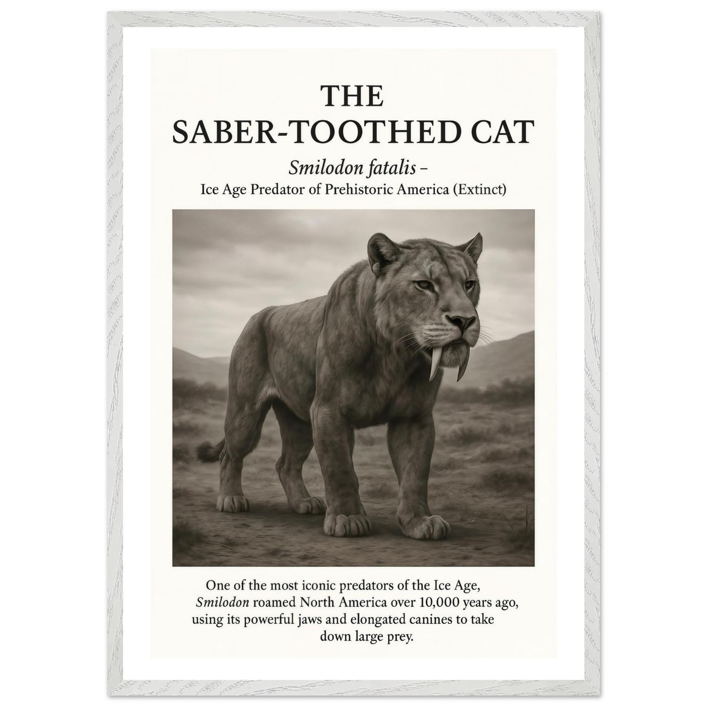 The Saber-toothed Cat – Canvas Art Print | Canvas of America