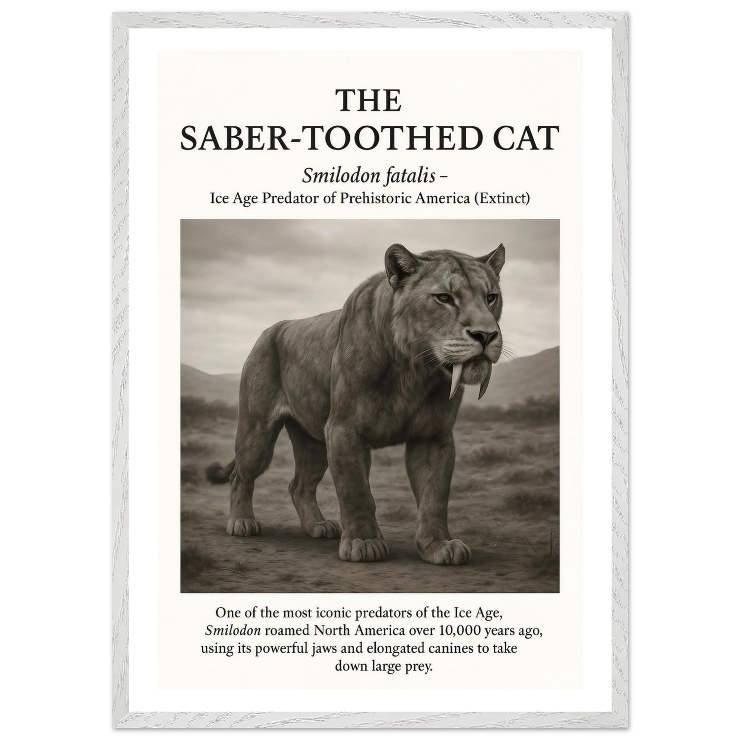 The Saber-toothed Cat – Canvas Art Print | Canvas of America
