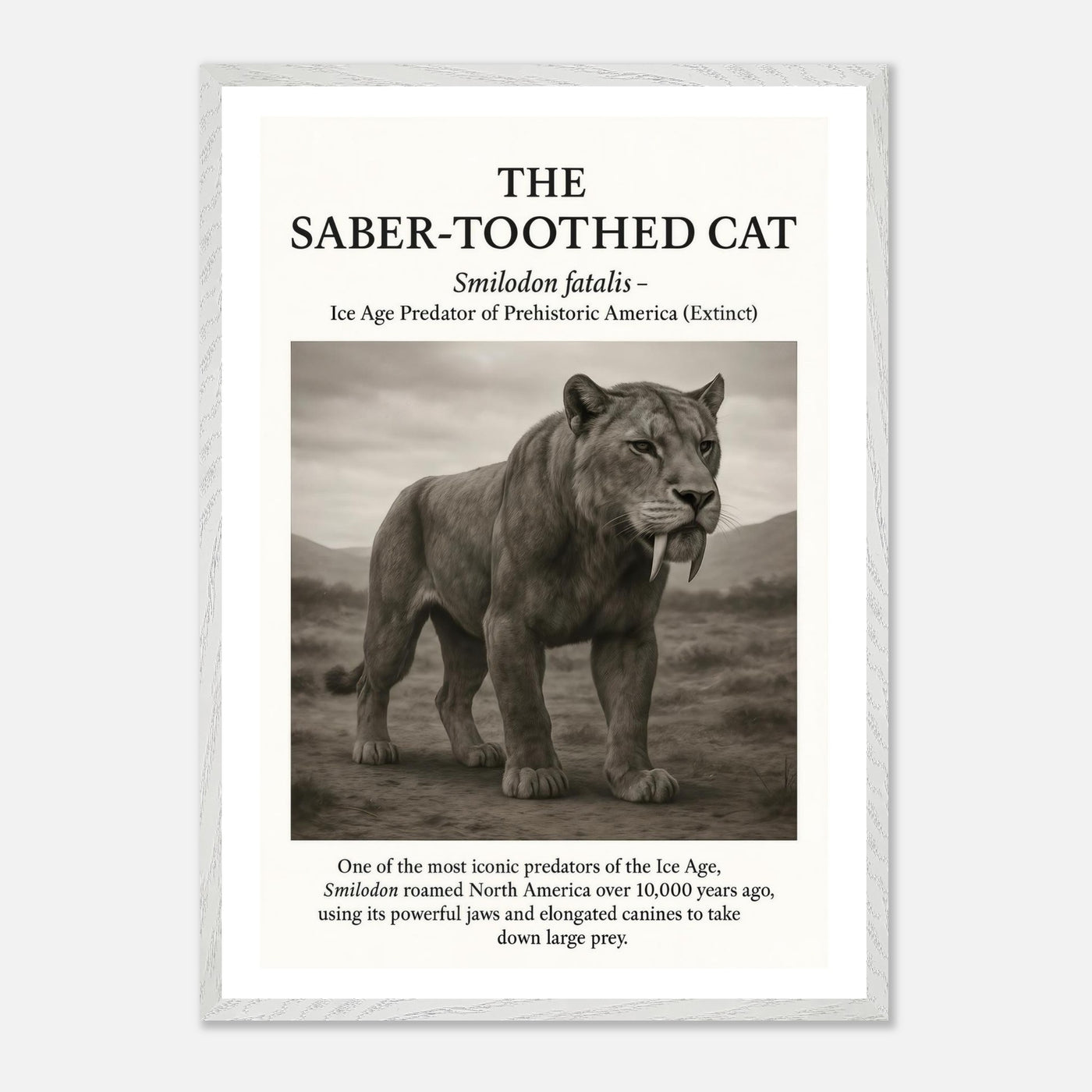 The Saber-toothed Cat – Canvas Art Print | Canvas of America