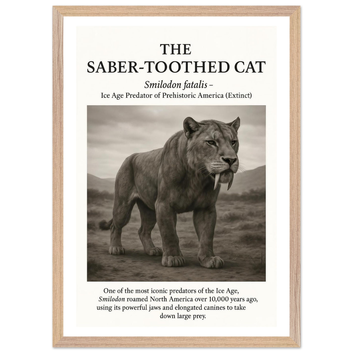 The Saber-toothed Cat – Canvas Art Print | Canvas of America