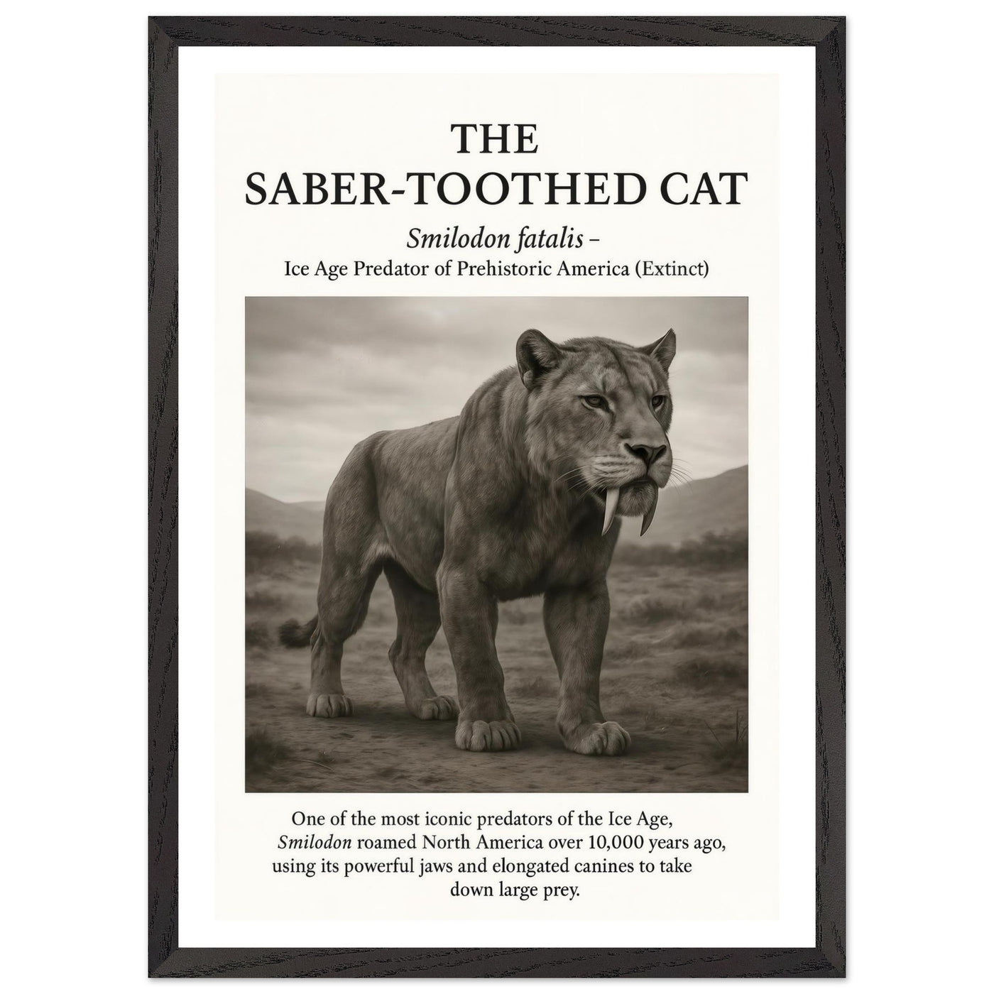 The Saber-toothed Cat – Canvas Art Print | Canvas of America