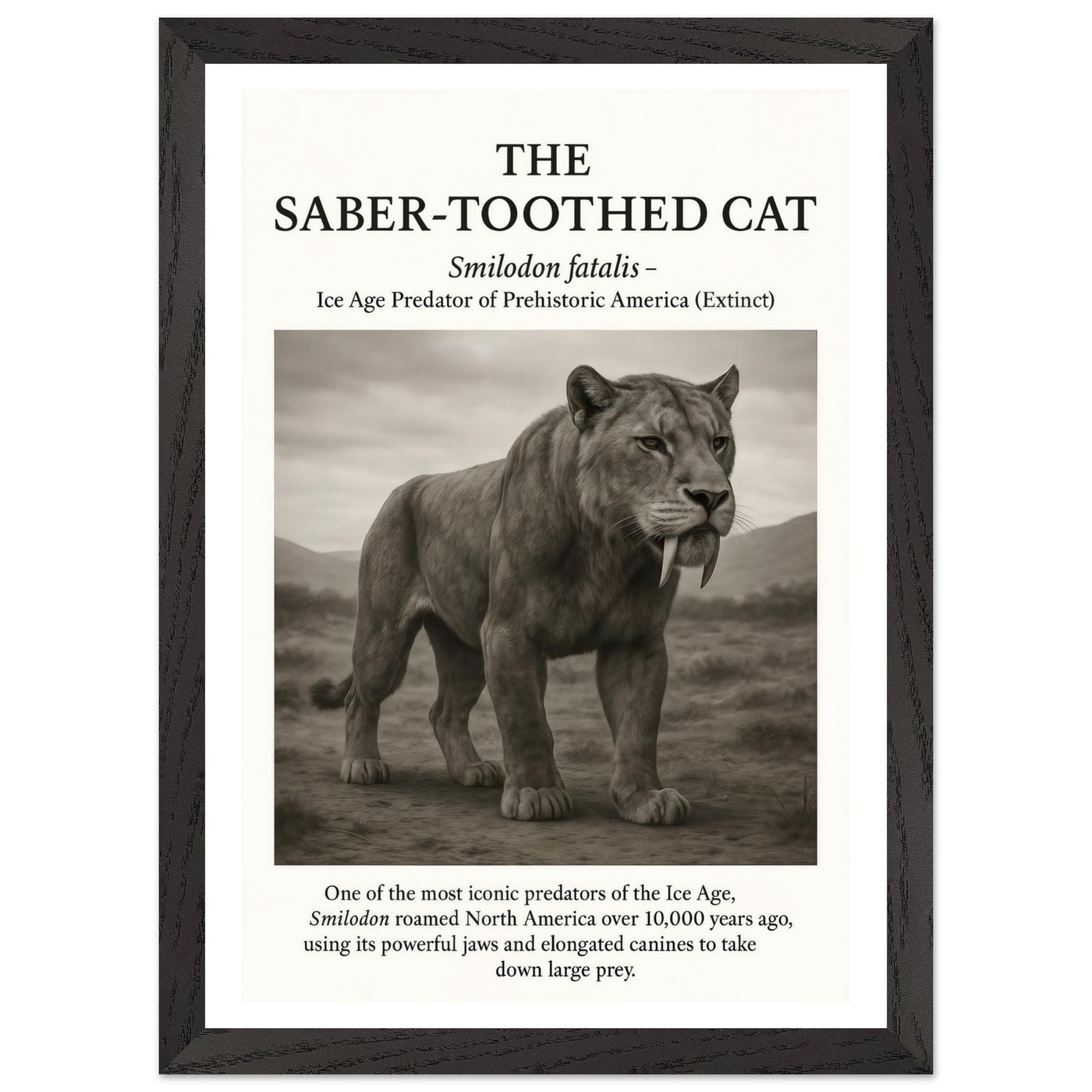 The Saber-toothed Cat – Canvas Art Print | Canvas of America