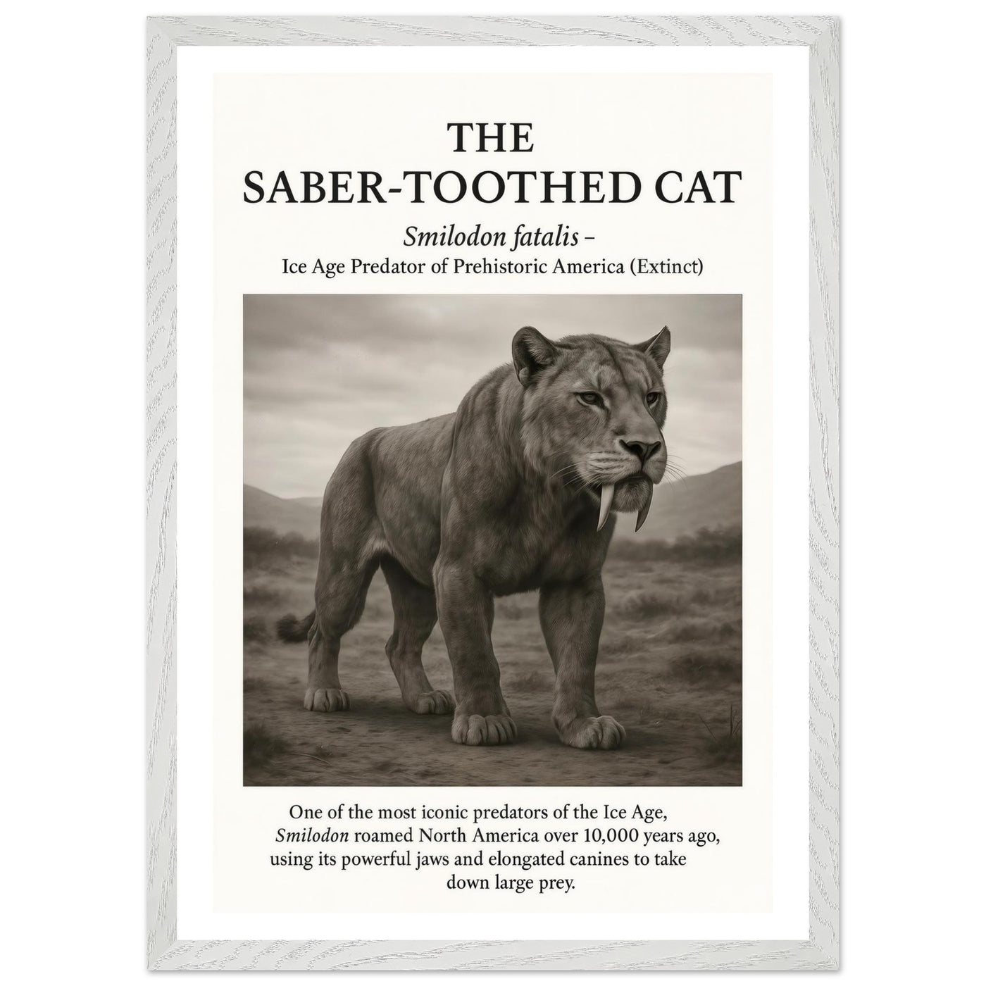 The Saber-toothed Cat – Canvas Art Print | Canvas of America