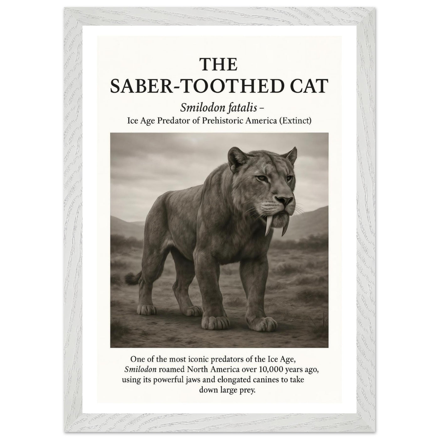 The Saber-toothed Cat – Canvas Art Print | Canvas of America
