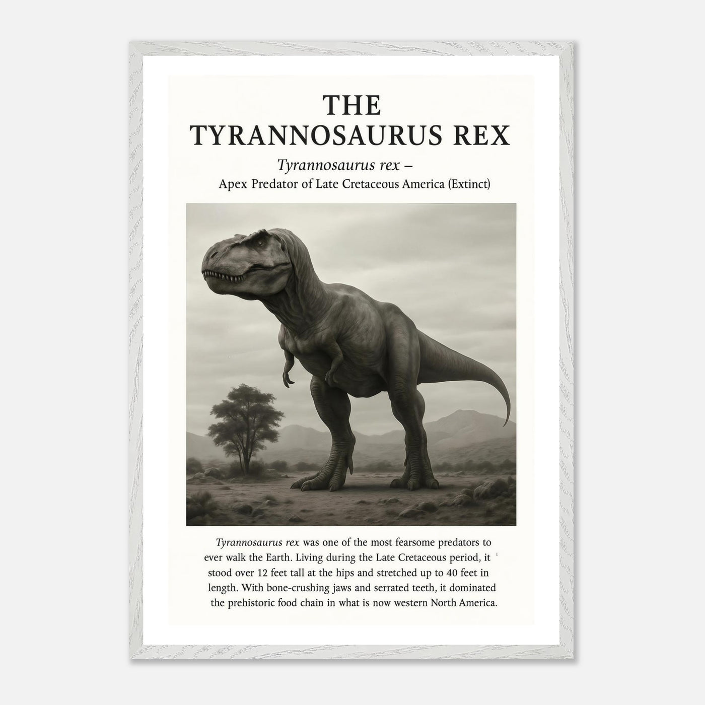 The Tyrannosaurus Rex – Canvas Art Print | Canvas of America