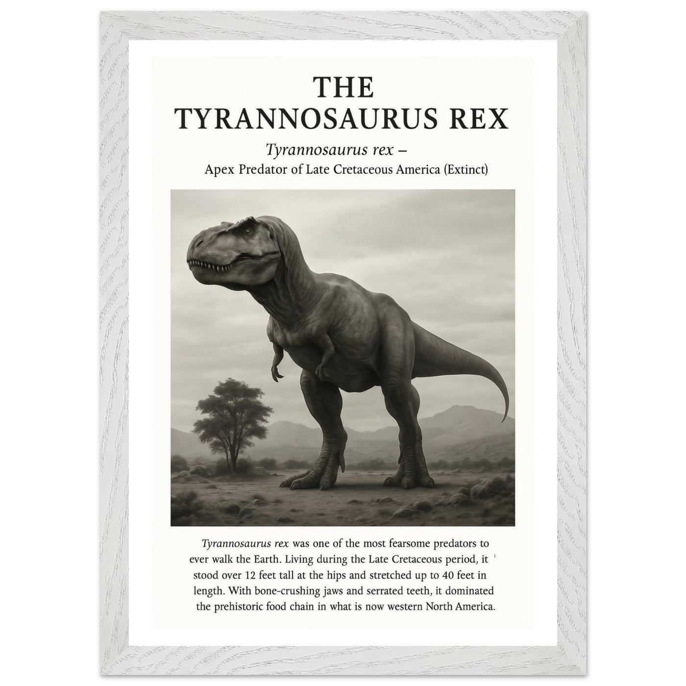The Tyrannosaurus Rex – Canvas Art Print | Canvas of America