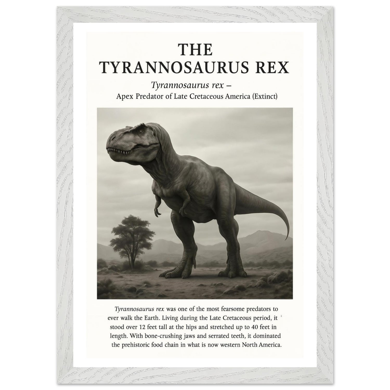 The Tyrannosaurus Rex – Canvas Art Print | Canvas of America