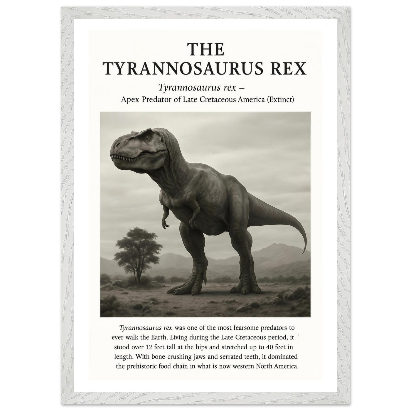 The Tyrannosaurus Rex – Canvas Art Print | Canvas of America
