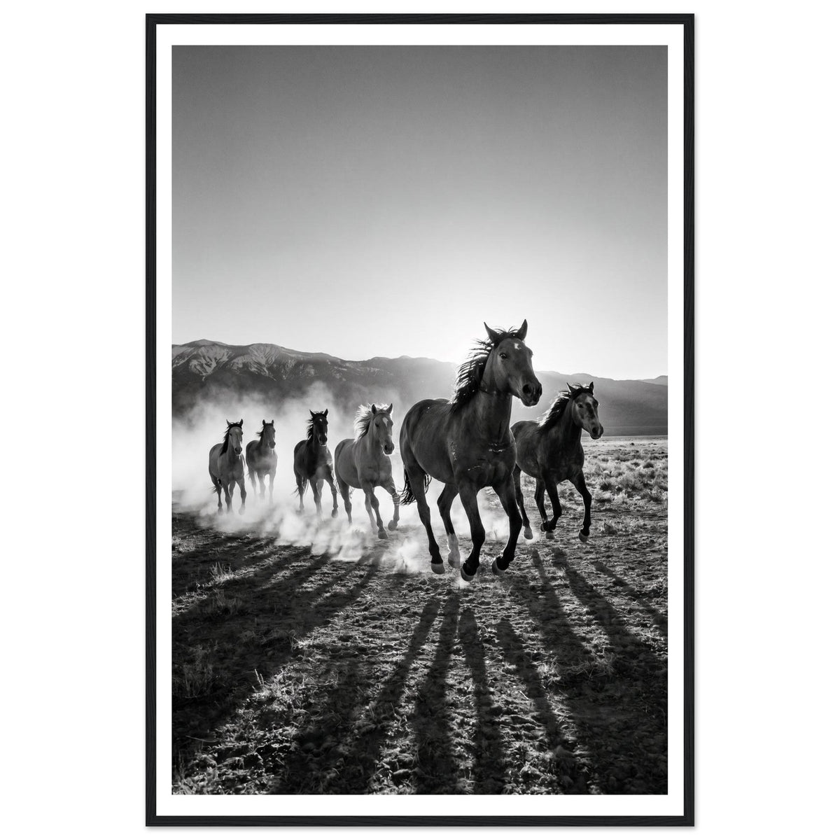 No Fences shown on its own — second framed print in the Wranglers set